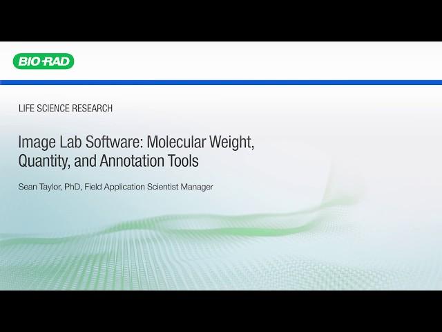 Image Lab Software: Molecular Weight, Quantity and Annotation Tools