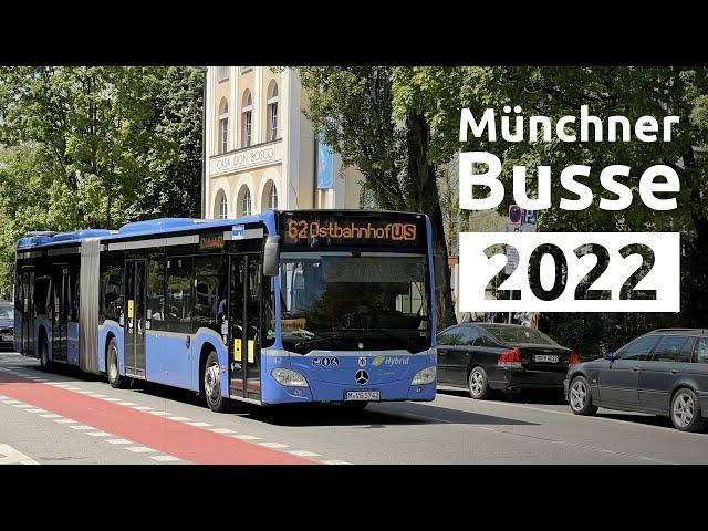 Die Münchner Busse bei der MVG 2022