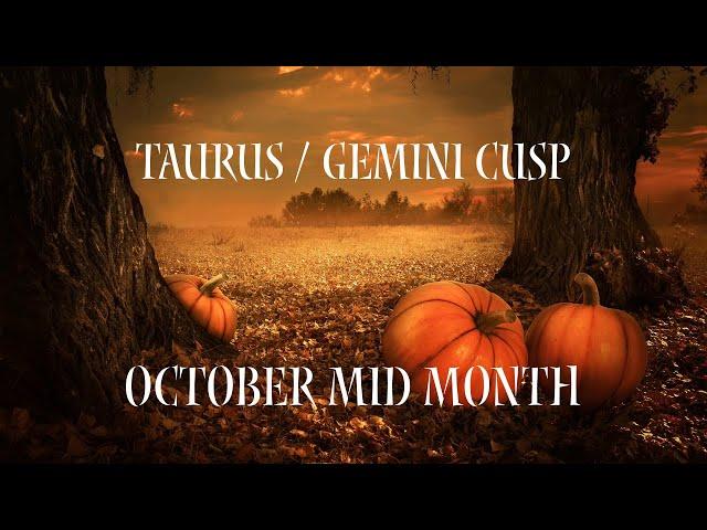 TAURUS/ GEMINI CUSP~ THINGS WILL BE MOVING SMOOTHER THAN YOU EXPECTED!