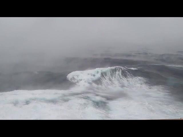 Don't watch this if you are afraid of the sea   NCL Bomb Cyclone