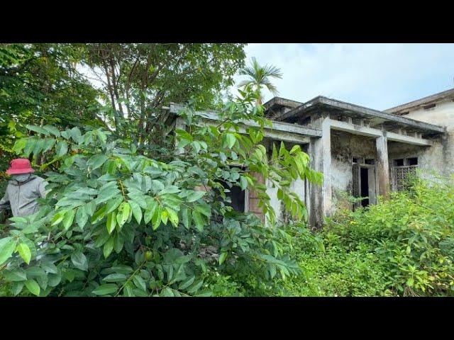 Eye-catching transformation of an overgrown abandoned house Clean the house clean