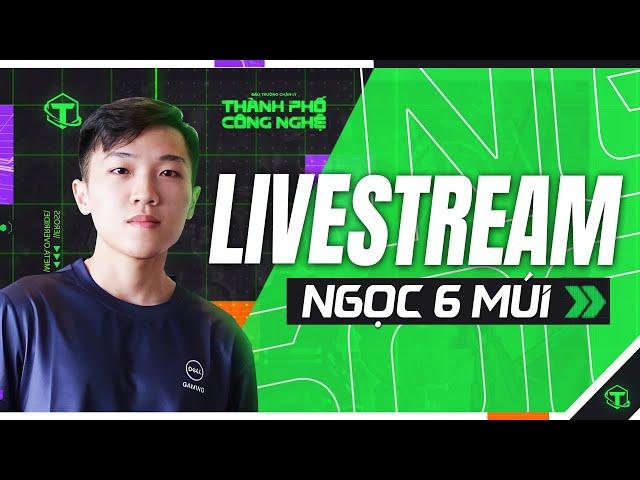 Không 3 Top 1 Không OFF. Coaching 500k 1h sieu re