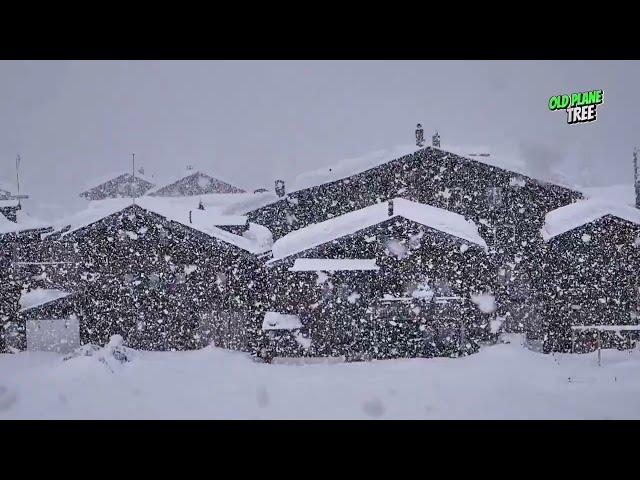 Snow Fairy Tale Fresh White Snow Falling on Distant Homes