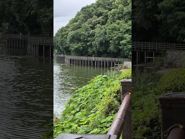 친정엄마와 #중대물빛공원 #경기도광주 #수변공원