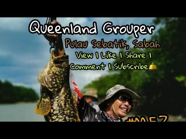 Trip Pulau Sebatik Episod 2 #02. Queensland Grouper Landed!