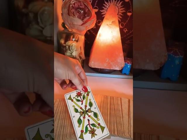 ENERGIA DE HOJE ! TAROT LEITURA / TARÔ LEITURA