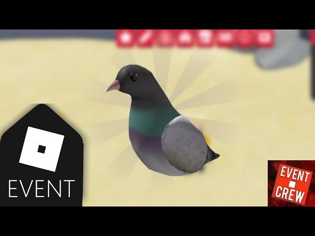 [EVENT] HOW TO GET THE PIGEON SHOULDER PET INSIDE OF THE VANS BMX EVENT ROBLOX