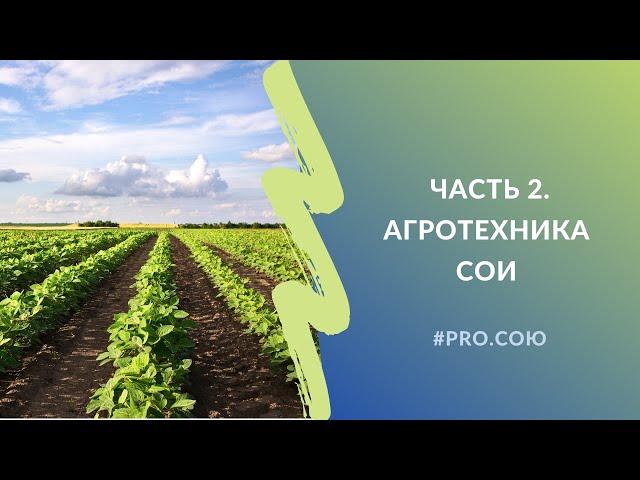 Часть 2. Агротехника сои | Пять вечеров PRO.СОЮ