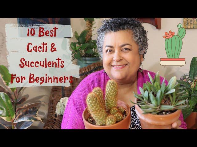 10 Best Succulents & Cacti for Beginners