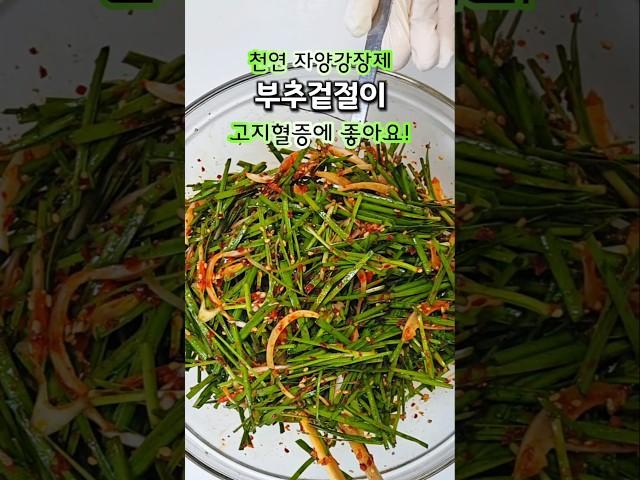 고지혈증 잡는 부추겉절이는 약성 좋은 이런 부추로 만드세요! #부추겉절이만드는법#부추겉절이#부추무침#부추겉절이황금레시피#부추김치담그는법#부추요리