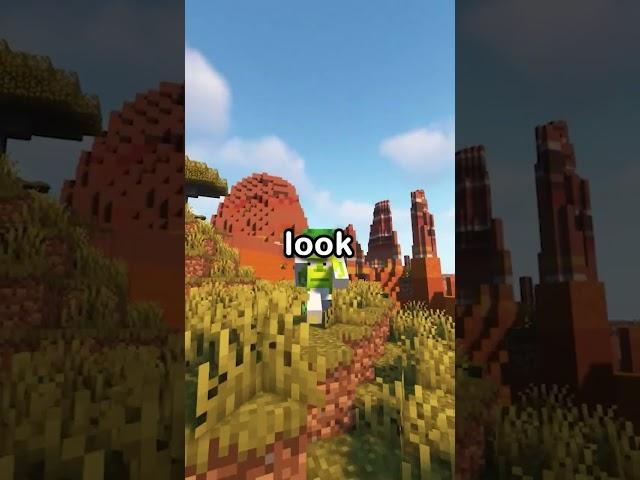 Minecraft's Best Texture Pack