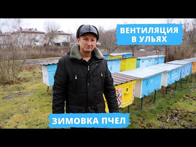 Как правильно организовать вентиляцию в ульях? | Зимовка пчел