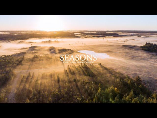 Mit år i den danske natur / Dansk naturfilm