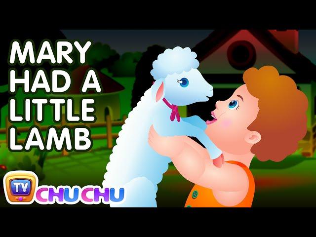 Mary Had A Little Lamb Nursery Rhyme With Lyrics - Cartoon Animation Rhymes & Songs for Children