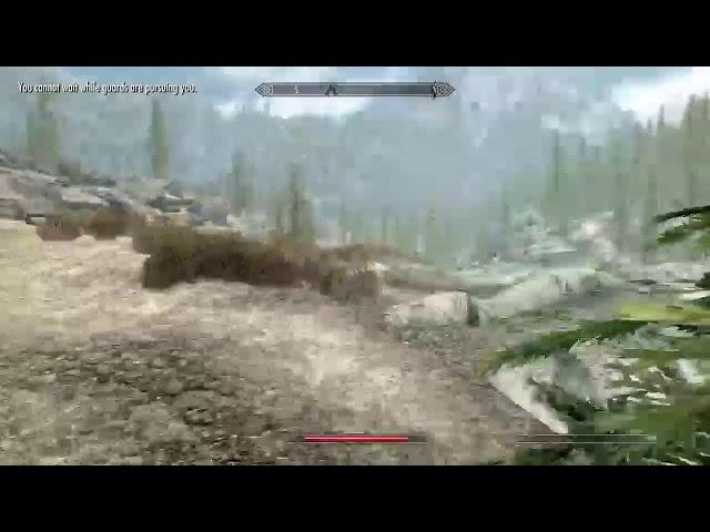 Skyrim Special Edition LIVE[broke the game]