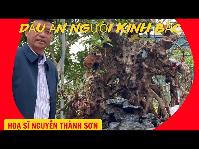 Nghe tên cây biết câu của người Kinh Bắc | Hoạ sĩ Nguyễn Thành Sơn