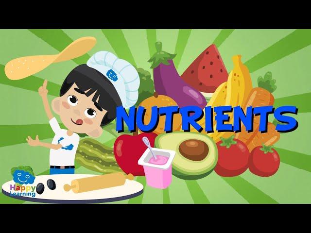 NUTRIENTS | Educational Videos for Kids