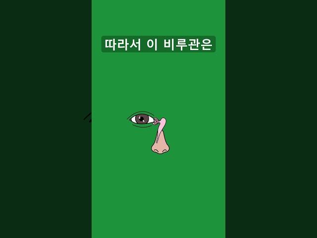 눈물이 나면 콧물도 같이 나는 이유