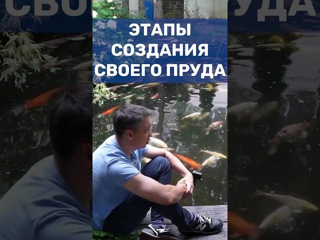 Свой Пруд - как сделать? Этапы создания своего пруда с рыбой на участке #shorts