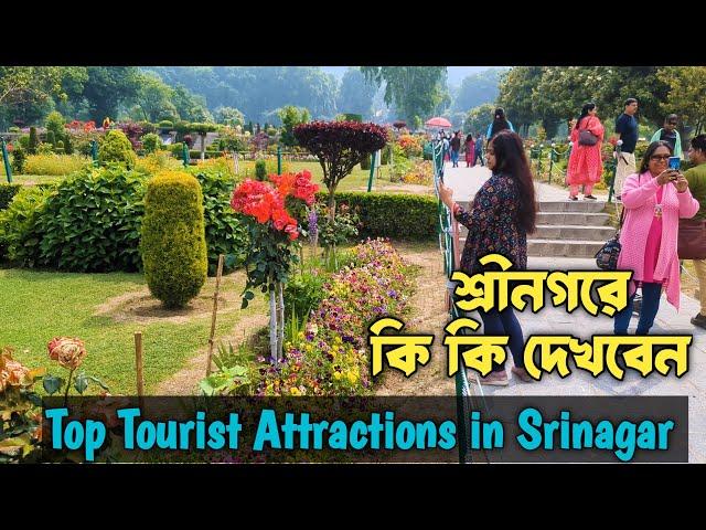 Top Tourist Attractions in Srinagar Complete Travel Guide 2024 | শ্রীনগরে কি কি দেখবেন | Episode - 9