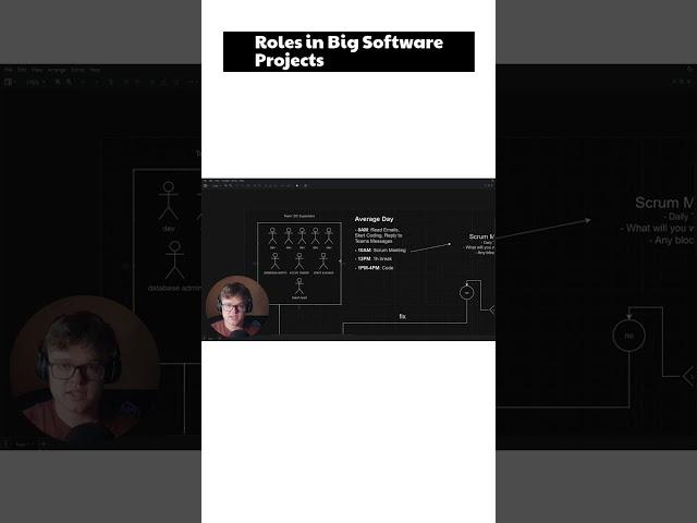 Roles in Big Software Projects