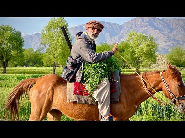 Village Life in Parachinar