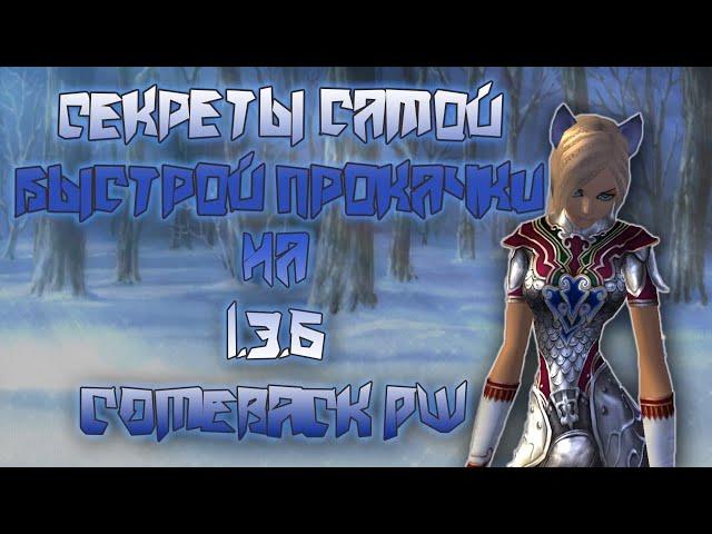 Секреты самой быстрой прокачки, и бессмертный билд 1.3.6 COMEBACK PW