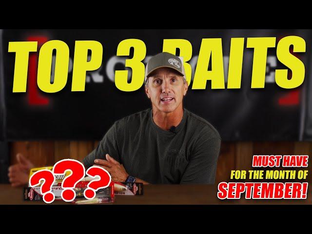 Top 3 September Baits | MUST TRY!