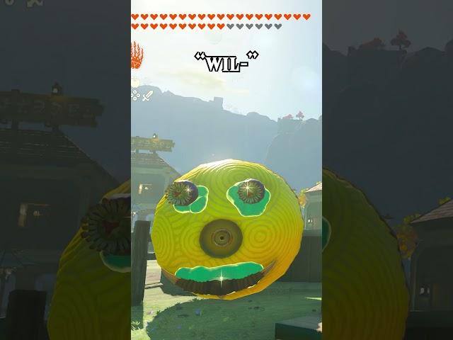 I built Wilson in Tears of the Kingdom
