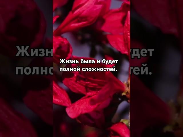 #позитив #авторскиестихи #мудрыеслова #цитаты #поэзия #стихиожизни #высказывания #казахстан