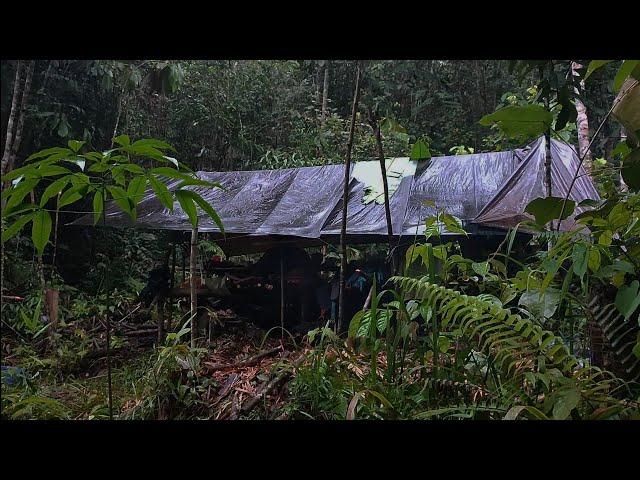 berkemah sambil berpetualang mencari ikan di hutan ,  7 hari 7 malam camping di hutan kalimantan