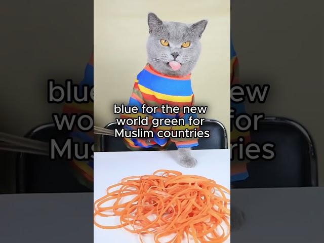Curious Curiosities that will blow your mind! 