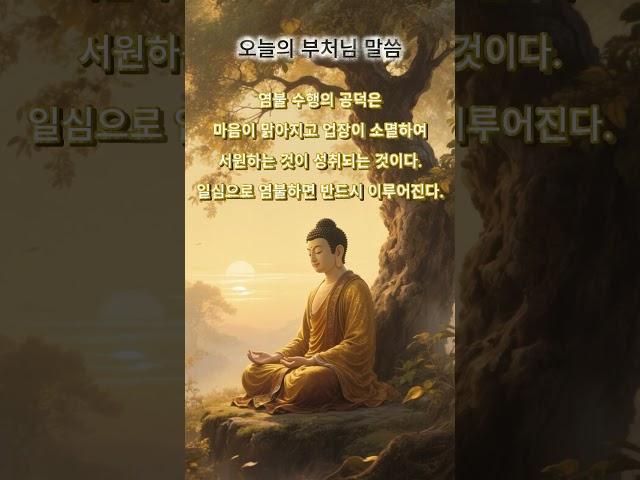 염불공덕 | 맑은 마음의 기도 #명상시간 #마음치유 #불심 #부처님지혜