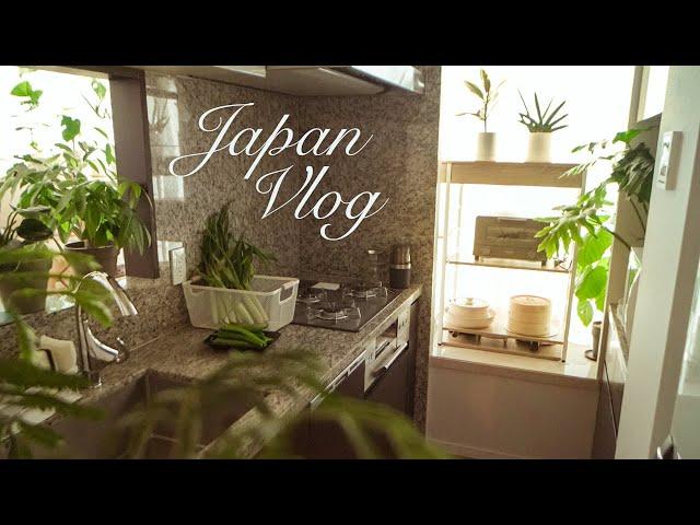 Living Alone in JAPAN | Toast Recipe | New furniture  | TOKYO [VLOG]