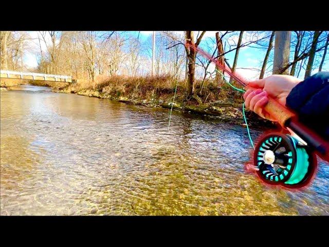 Fly Fishing in OHIO for Brown TROUT