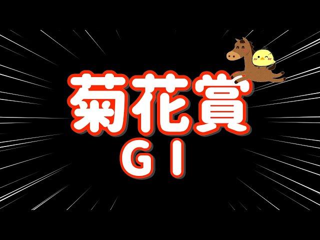 3連複鬼絞り【菊花賞 GⅠ 2024.10.20】自信あり3連複7点勝負！！30マン負けを阻止せよ！