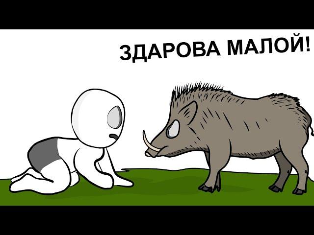 Как я гонялся за КАБАНОМ... (анимация)