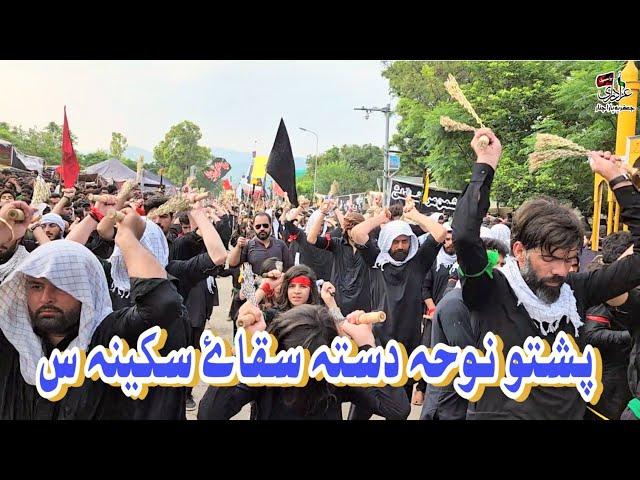 Pashto Noha || Dasta Saqye Sakina s.a || Azadari Jafria parachinar
