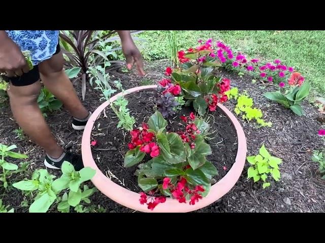 June Garden Tour: Under the Trees Island Garden, Front Yard Garden + Planting…