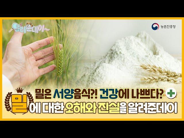 [알려준데이 2화] 밀에 대한 오해와 진실을 알려준데이[]~(￣▽￣)~*