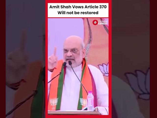 " We will not let Article 370 be back," Amit Shah On Resolution on Article 370 I Maharashtra Polls