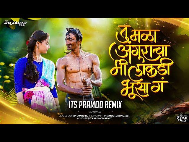 Tu Mala Anguracha (Remix) Its Pramod Remix | तु मळा अंगुराचा मी लाकडी भुसा गं | Ek Phool