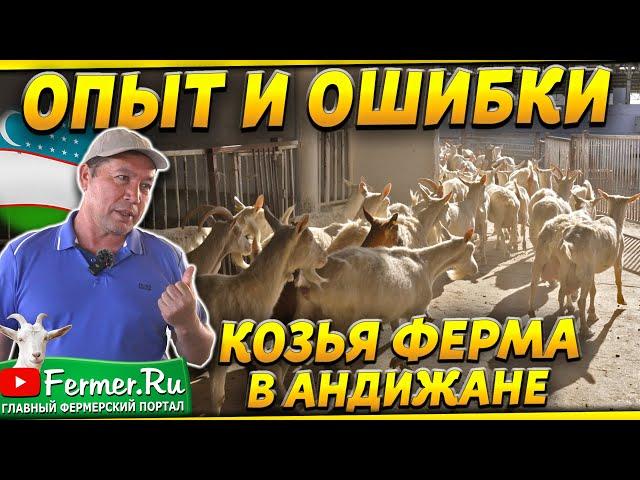 Ферма на 3000 коз. Неунывающий фермер. Доильный зал под навесом. Сыроварня и магазин. Узбекистан