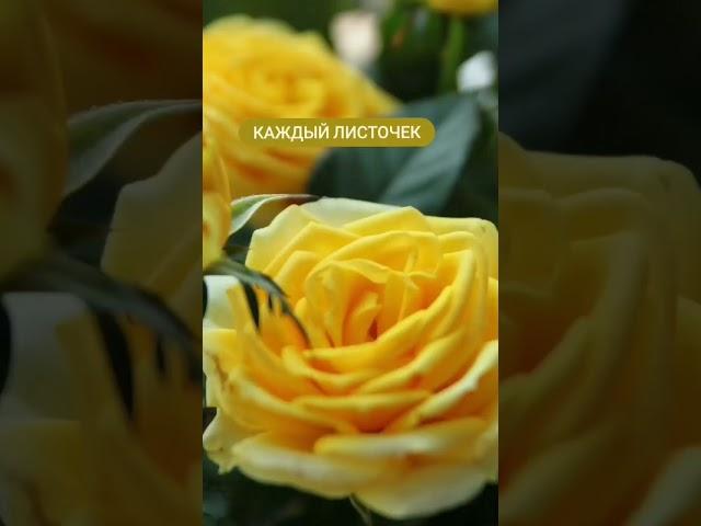 История одной картины.... #художник #art #картина