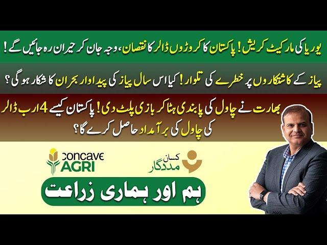 Hum Aur Hamari Zaraat EP 91 | Urea Market Crash, Onion Farming Crisis & India’s Rice Ban Impact