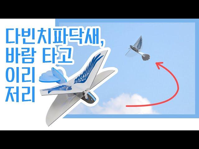 [메이커스 주니어] 바람을 타고 이리저리 날아다니는 다빈치파닥새