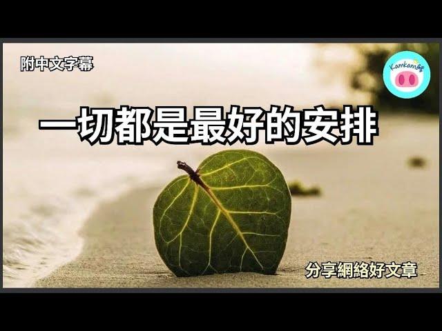 【#kamkam豬】- 一切都是最好的安排.  - 分享網絡好文章 /  「附中文字幕 」