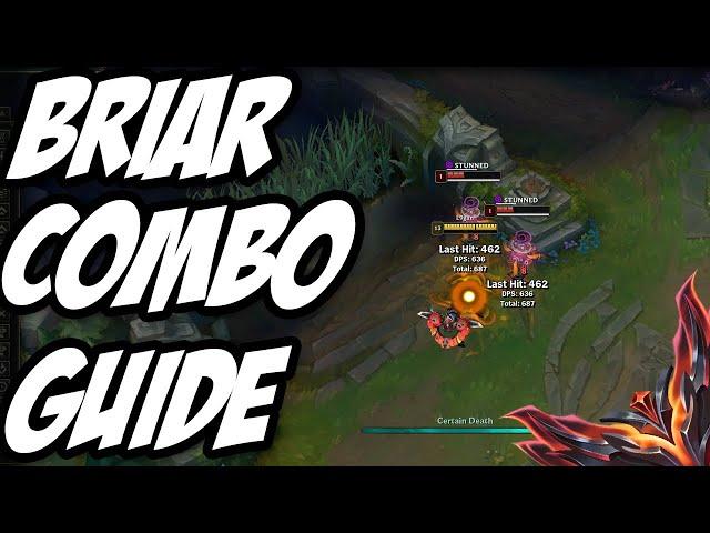 Briar Combo Guide! (Briar Animation Cancels) Rank 1 Briar!