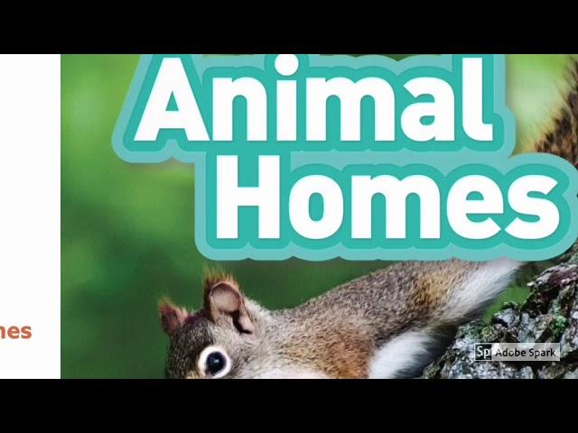 National Geographic Kids Readers: Animal Homes (Pre-reader)