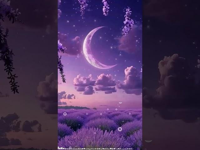 석가모니 부처님서정적 음악의 정점 세시봉이 온다